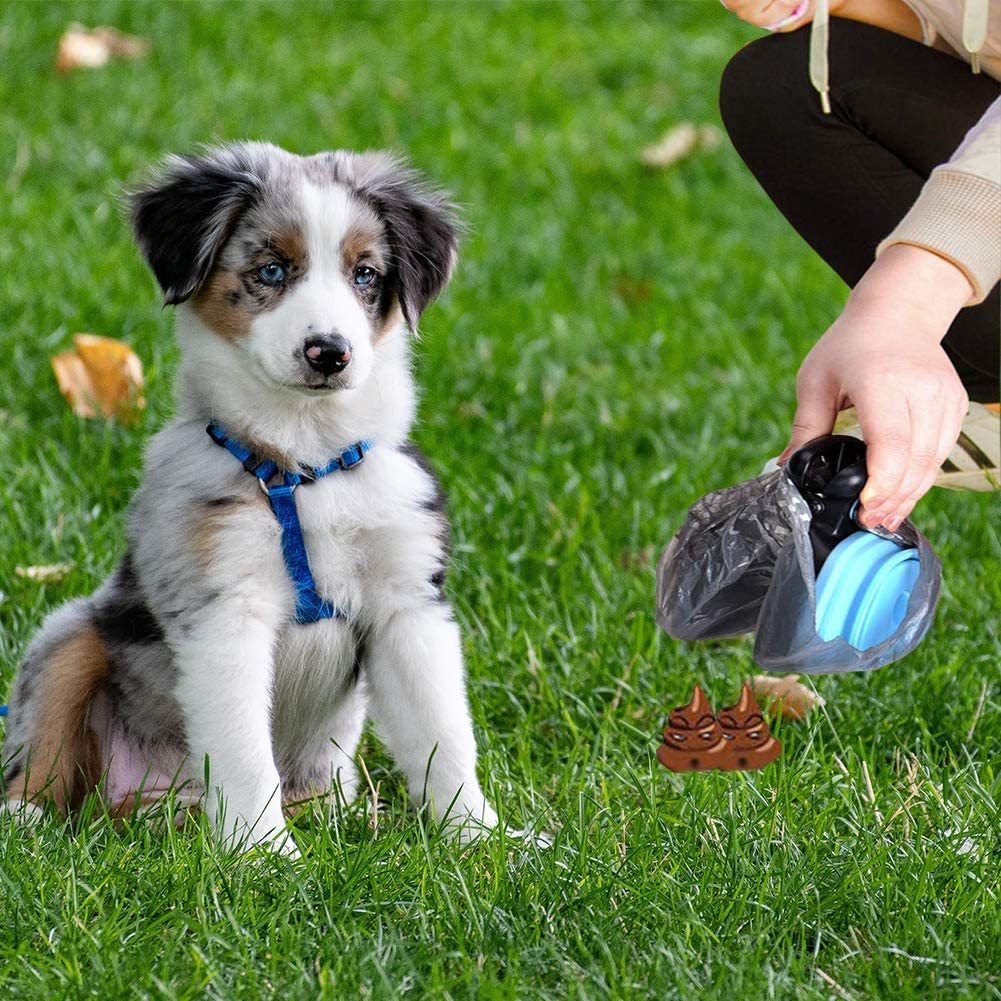 Pet waste vacuum cleaner