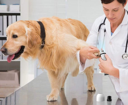 Pet's Electric LED Nail Clippers