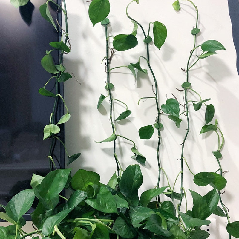 Plant Climbing Object Fastening Clip