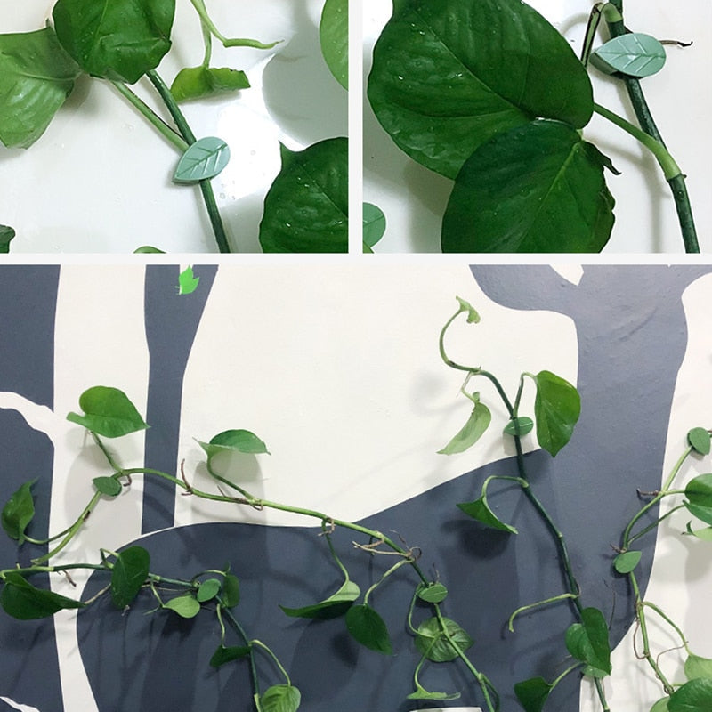 Plant Climbing Object Fastening Clip