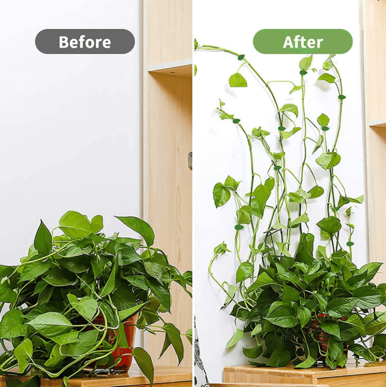 Plant Climbing Object Fastening Clip