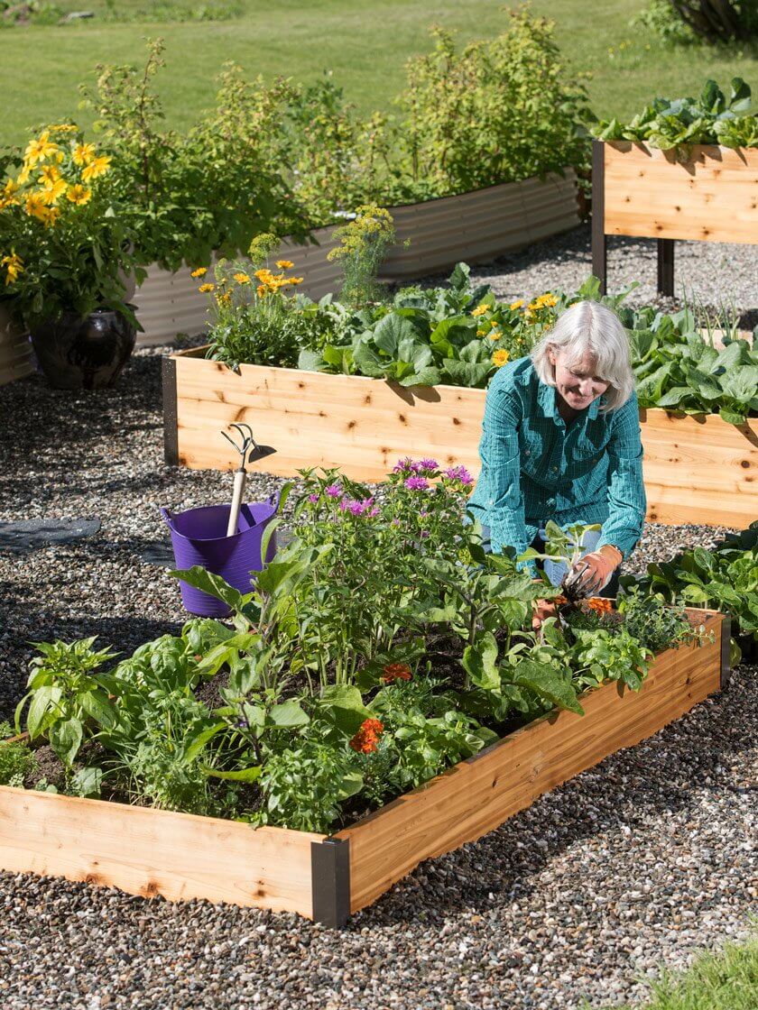 Plant food solution