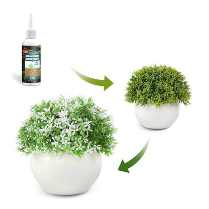 Plant food solution