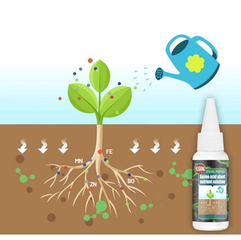 Plant food solution