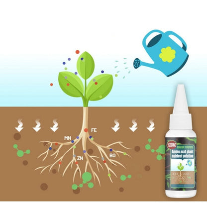 Plant food solution