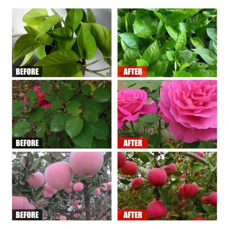 Plant food solution
