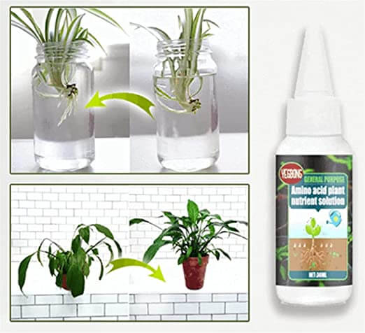 Plant food solution