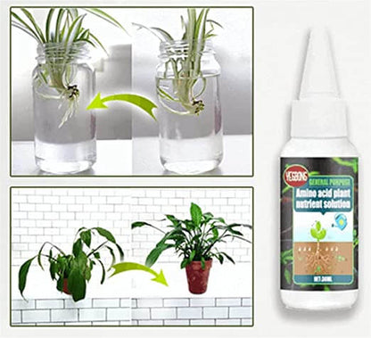 Plant food solution