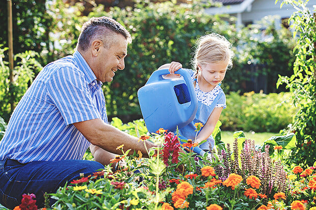 Plant food solution
