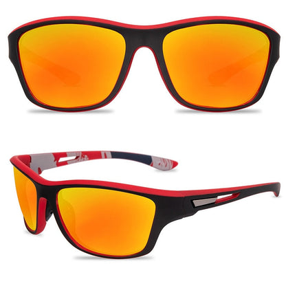 Polarised glasses