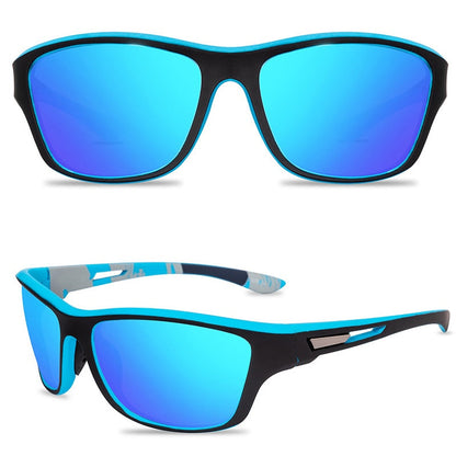 Polarised glasses