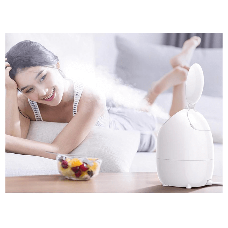 Portable Nano Facial Steamer