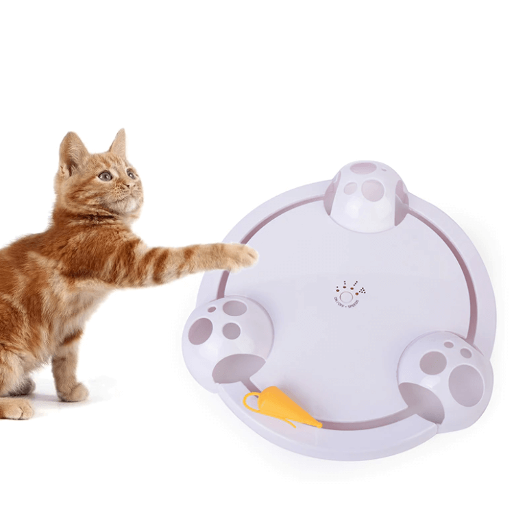 Pounce Cat toy