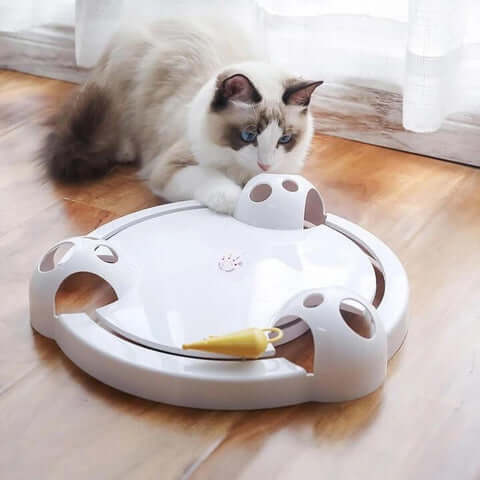 Pounce Cat toy