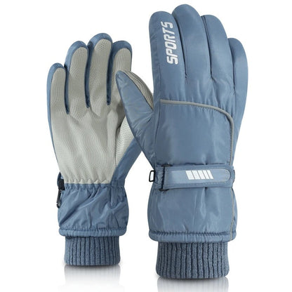 Professional Ski Gloves