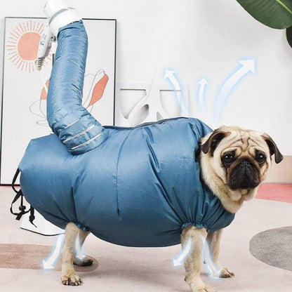 Quick-drying bag for pets