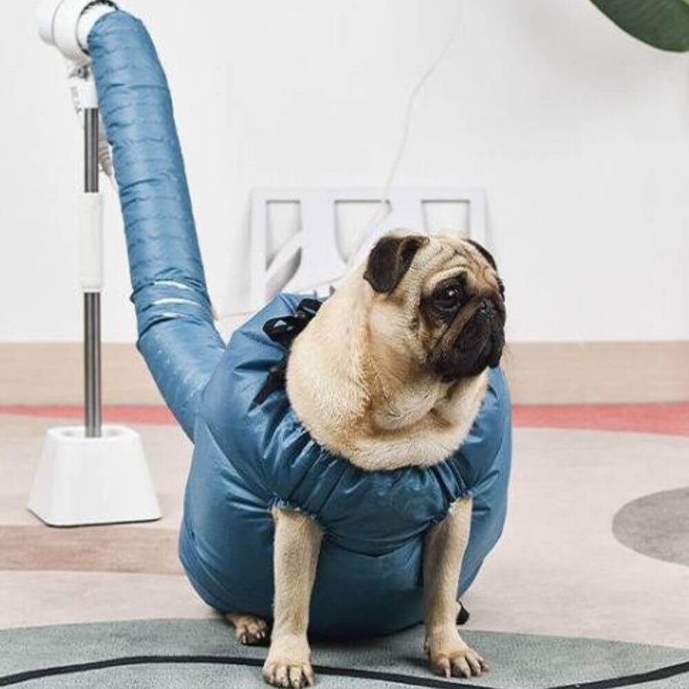 Quick-drying bag for pets