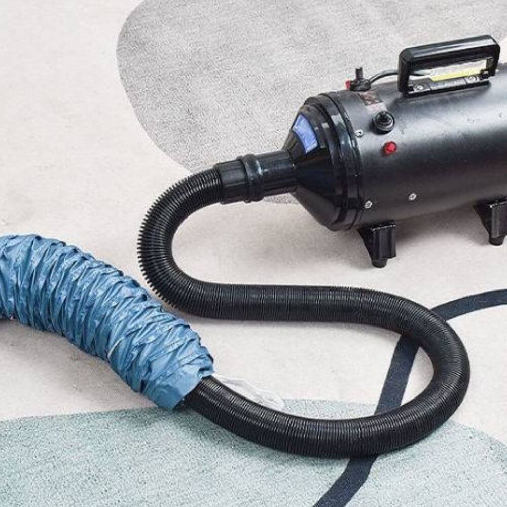 Quick-drying bag for pets