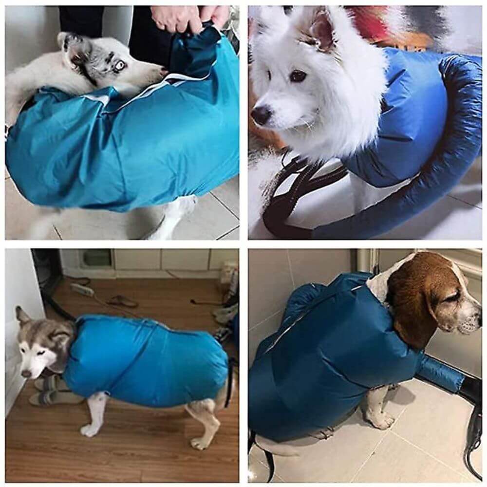 Quick-drying bag for pets