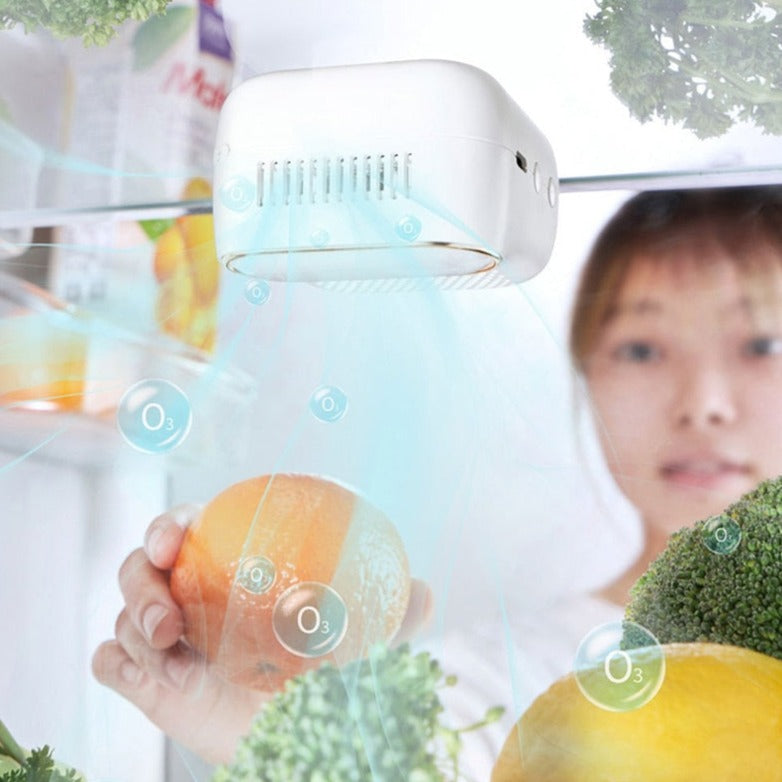 Refrigerator Magnetic Air Purifier