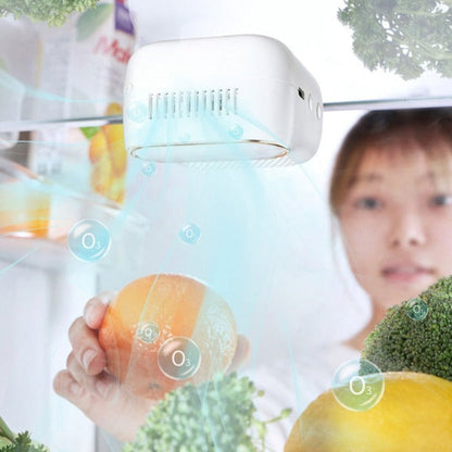 Refrigerator Magnetic Air Purifier