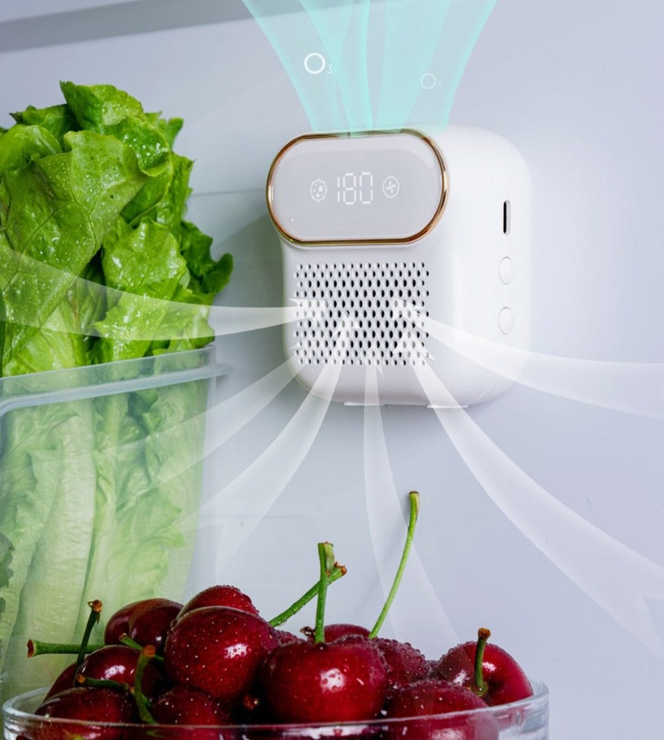 Refrigerator Magnetic Air Purifier