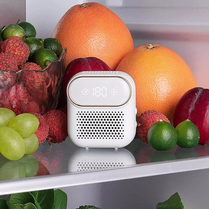 Refrigerator Magnetic Air Purifier