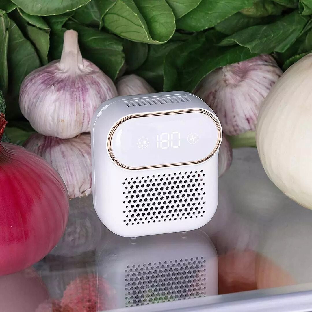 Refrigerator Magnetic Air Purifier