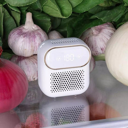 Refrigerator Magnetic Air Purifier