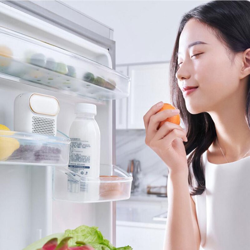 Refrigerator Magnetic Air Purifier