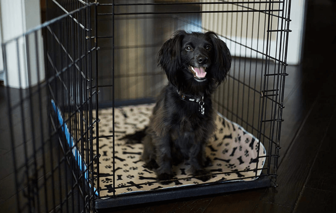 Reusable dog pee pad