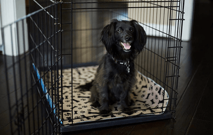 Reusable dog pee pad