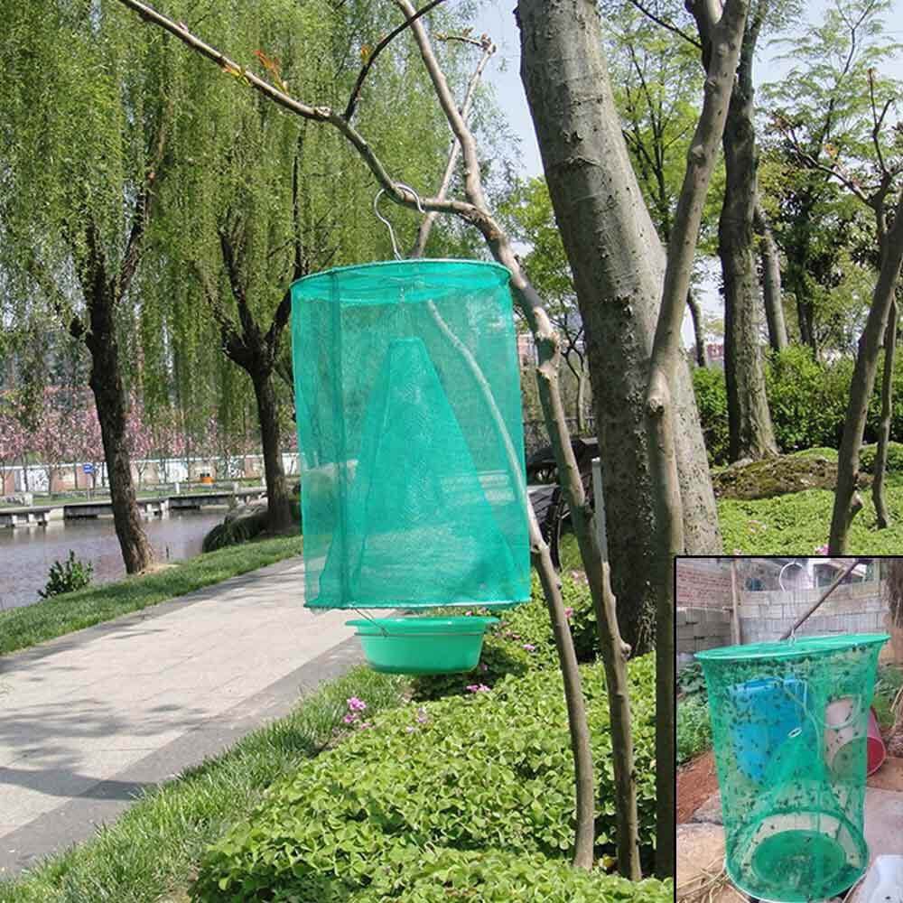 Reusable fly trap