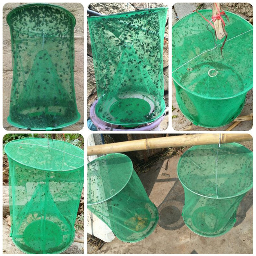 Reusable fly trap