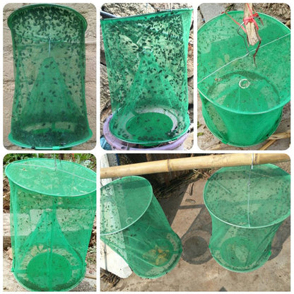 Reusable fly trap