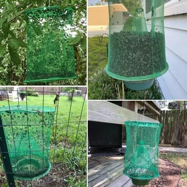 Reusable fly trap