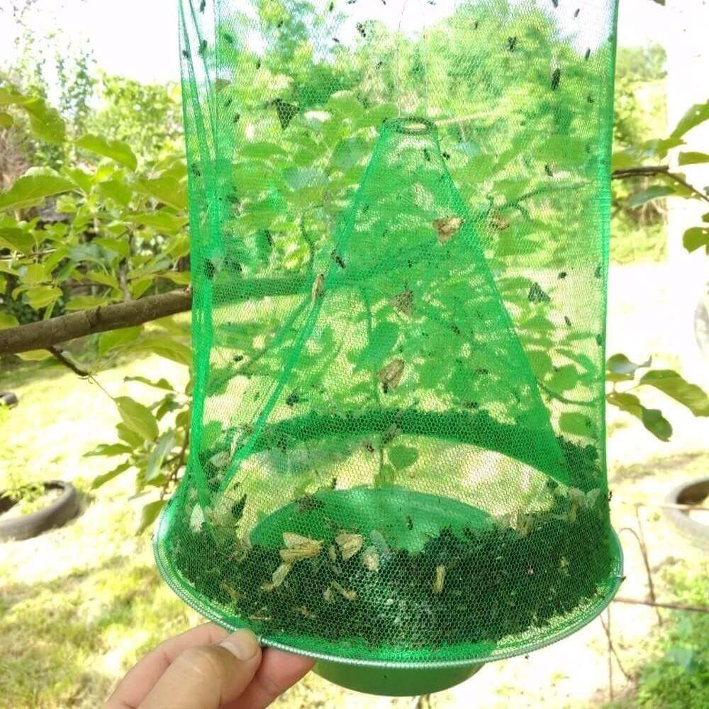 Reusable fly trap