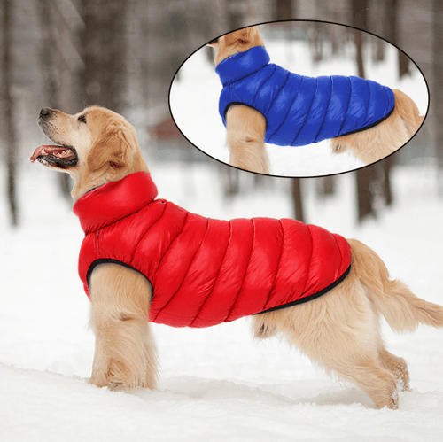 Reversible Dog Puffer Jacket