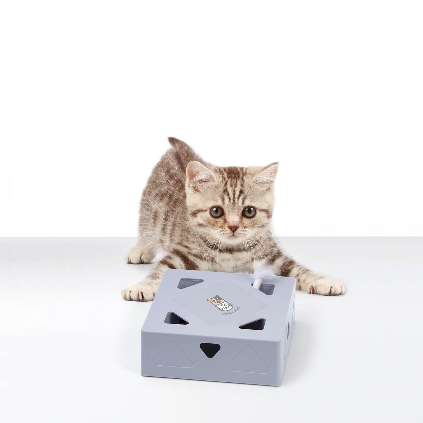 Automatisch Kattenspeelgoed Veer