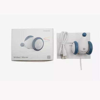 Auto-Running Mouse Cat toy