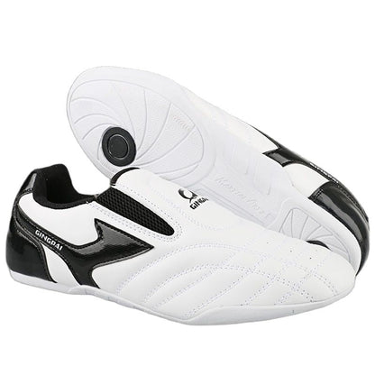 Taekwondo Shoes