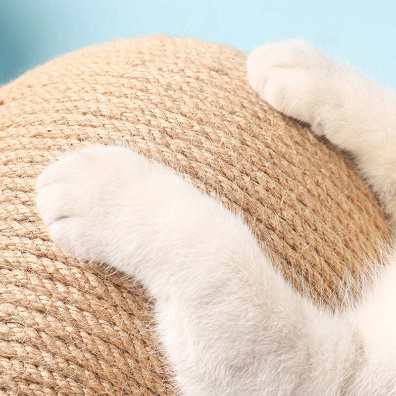 Scratch & roll ball toy for cats