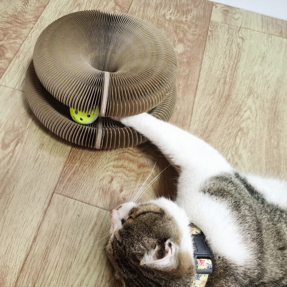 Scratching board toys