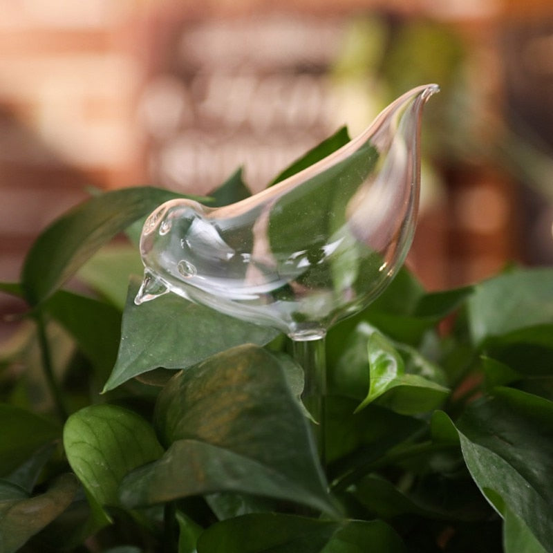 Self-soaking plant bulb