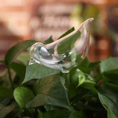 Self-soaking plant bulb