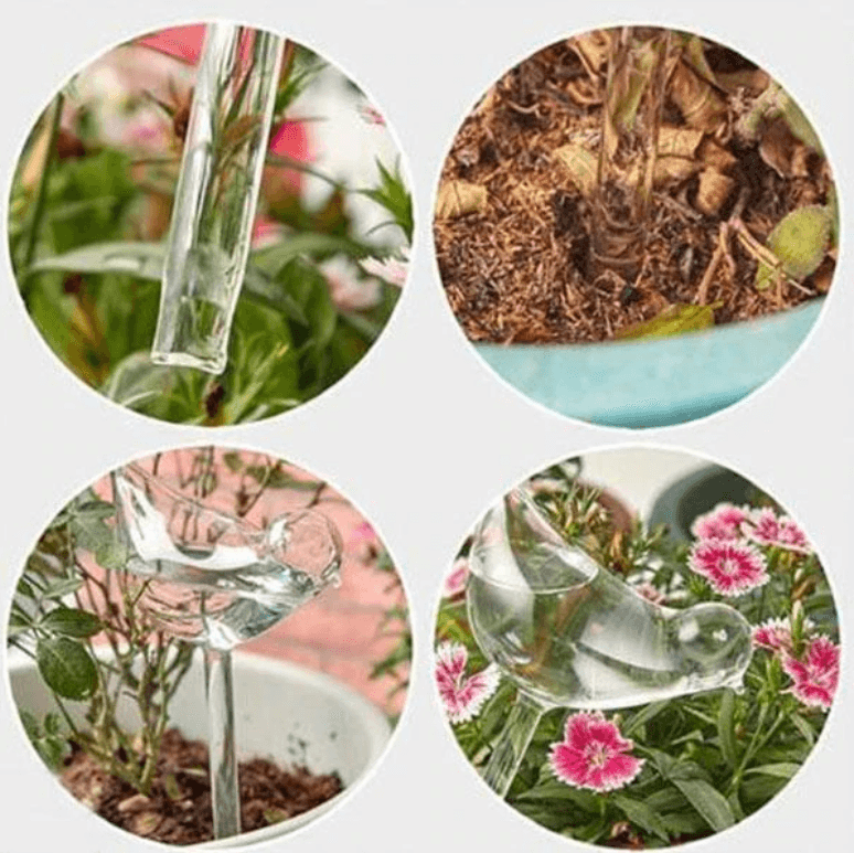Self-soaking plant bulb