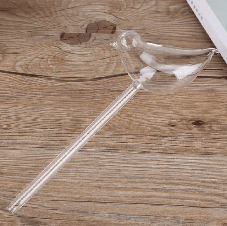 Self-soaking plant bulb