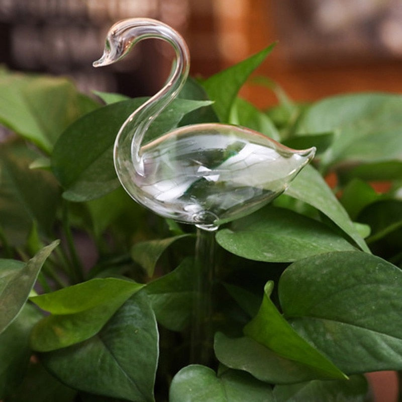 Self-soaking plant bulb