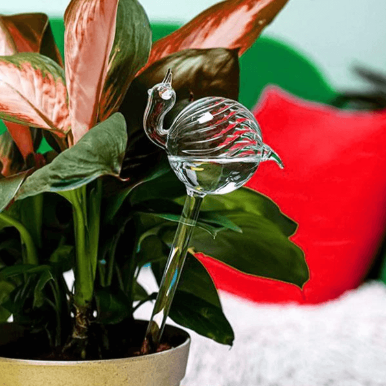 Self-soaking plant bulb