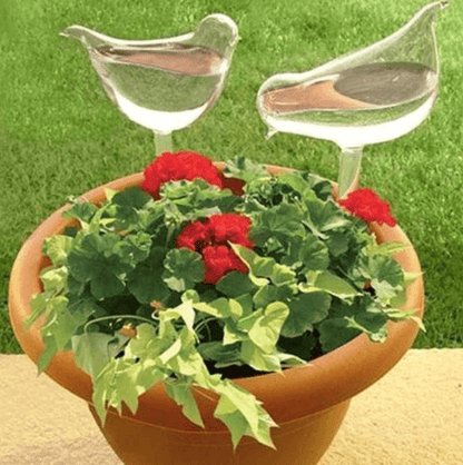 Self-soaking plant bulb